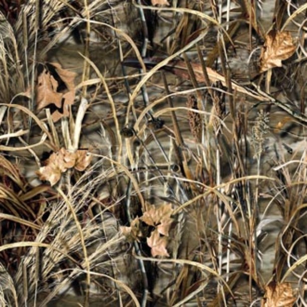 1551570_582868998473735_1279787628_n