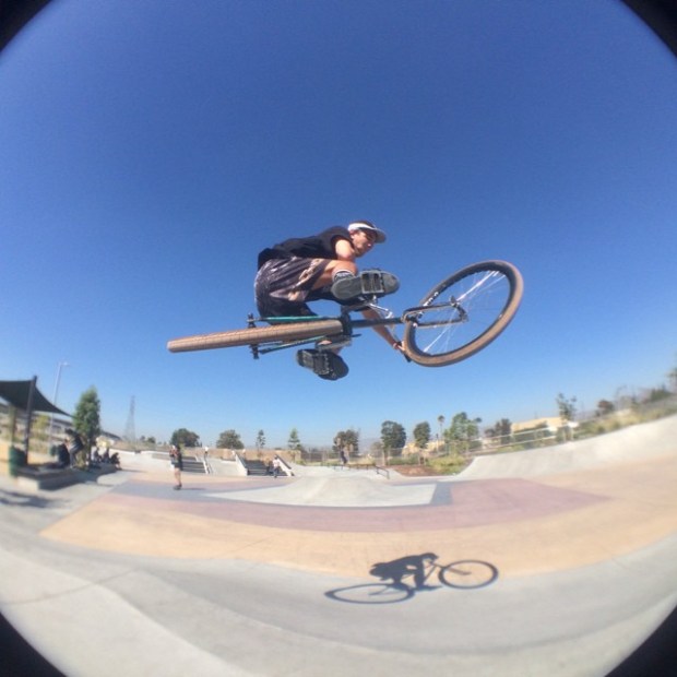 1546209_10202435565364478_2901532372133136320_n