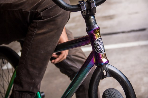 JimmyWatcha_PaganBikes_BikeCheck_Headtube1