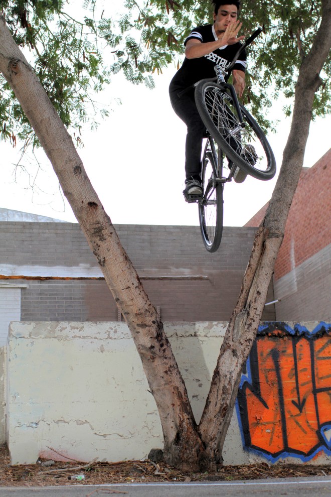 tumblr_nw9xvoo5QR1ta7y4po1_1280