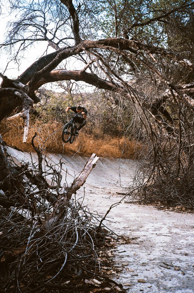 tumblr_p074vpzV9E1ta7y4po2_1280